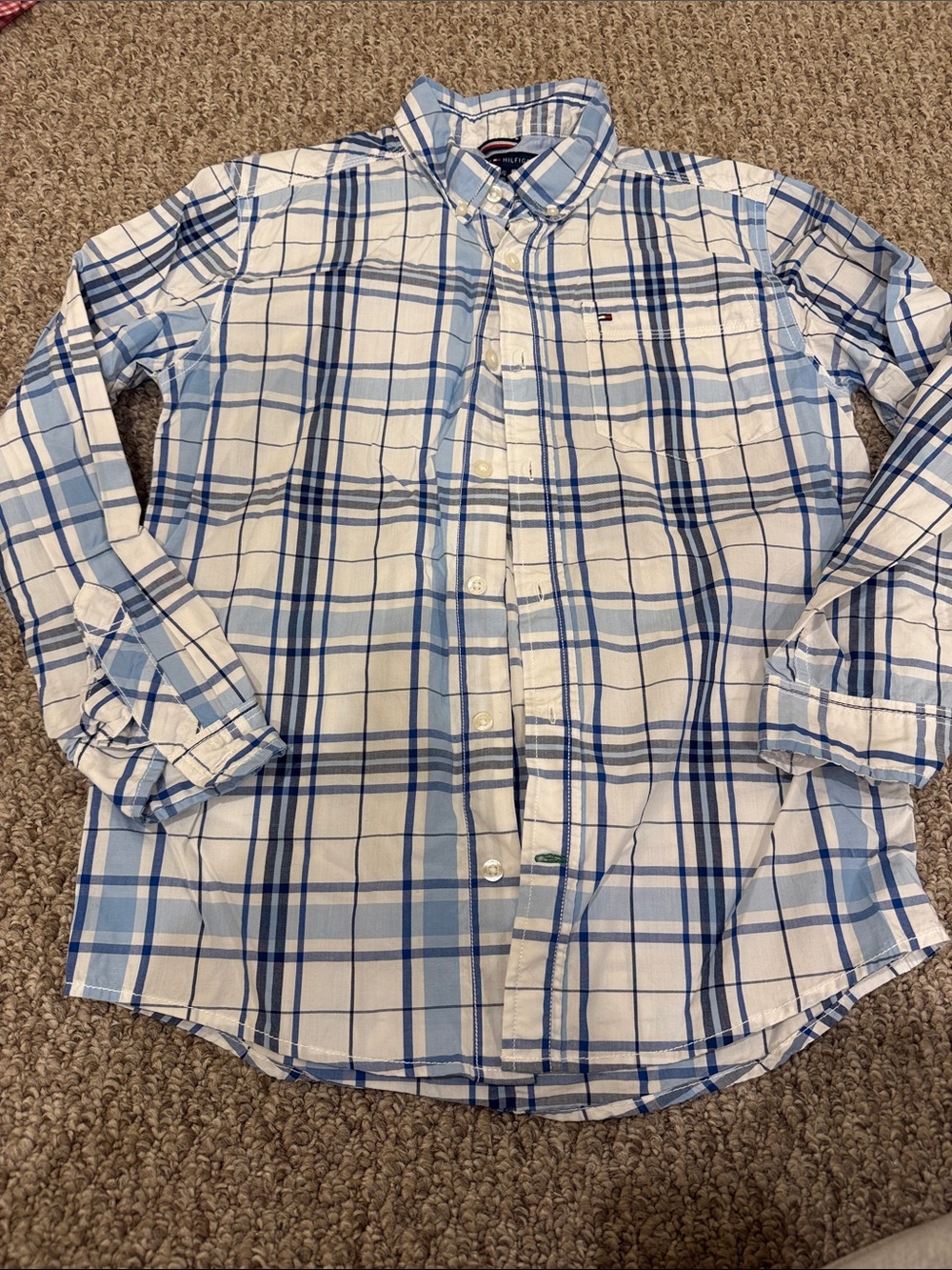 Tommy Hilfiger Light & Navy Blue Plaid Button-Down Shirt